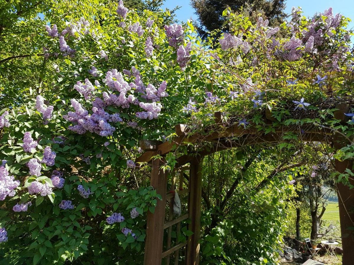 Ferienwohnung Eifelliebe Udler Bagian luar foto